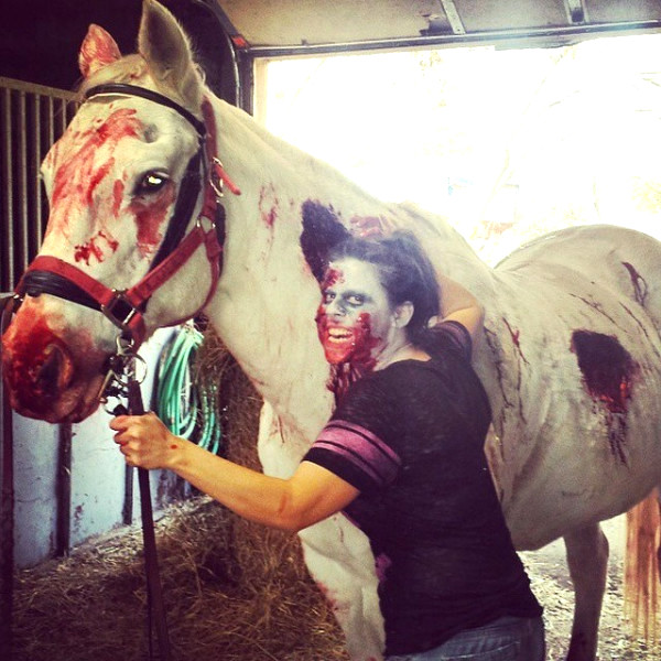 cheval zombie pour halloween
