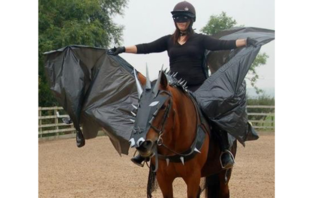 idées costume pour Halloween pour cheval et cavalier