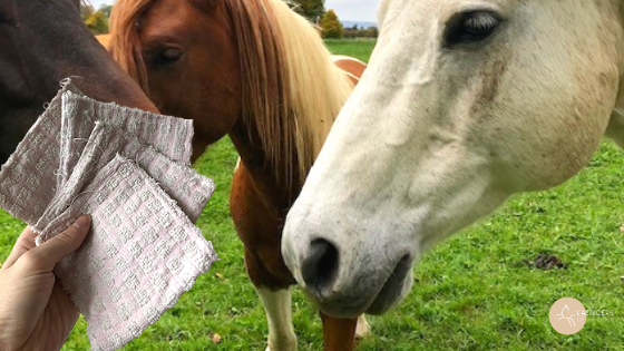 lingettes naturelles pour chevaux