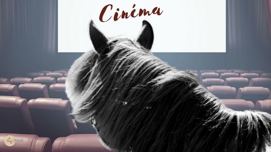 15 films avec un cheval