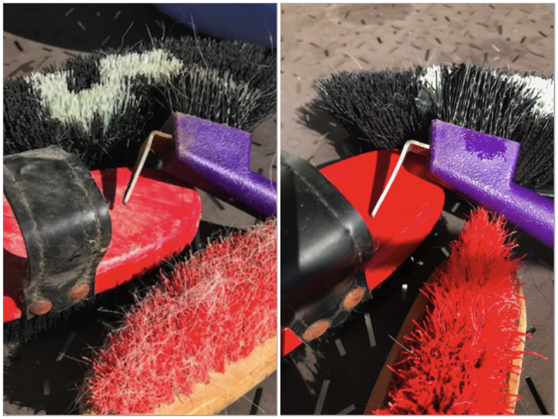 brosse cheval avant/après nettoyage