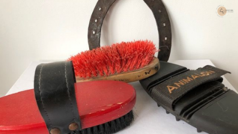 Duo De Brosses De Pansage Kincade Pour Cheval - Vert Et Rose - Neuf