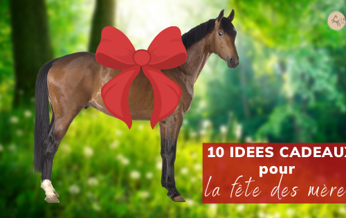 10 idées cadeaux maman cheval