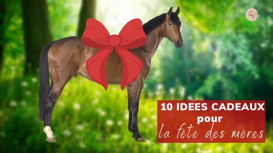 10 idées cadeaux maman cheval