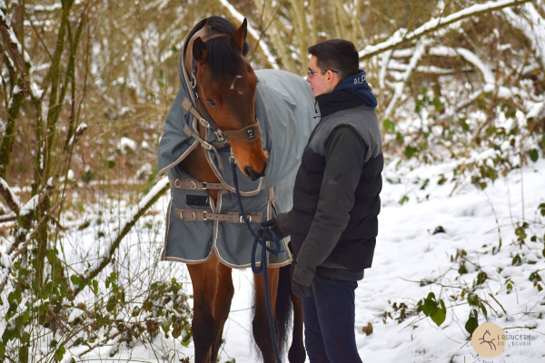 cheval dans la neige avec couverture et cavalier
