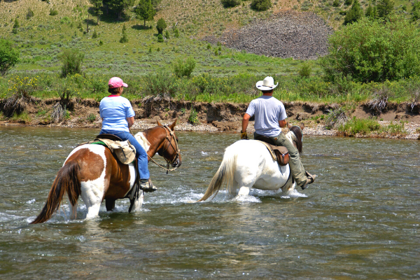 chevaux traversant une rivière moutain trail
