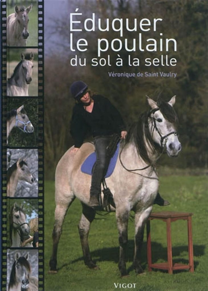 250 Noms de Poulain avec la Lettre O Astucerie de l