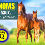 jument et poulain alezan