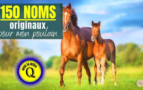 jument et poulain alezan