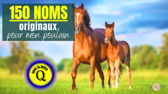 jument et poulain alezan